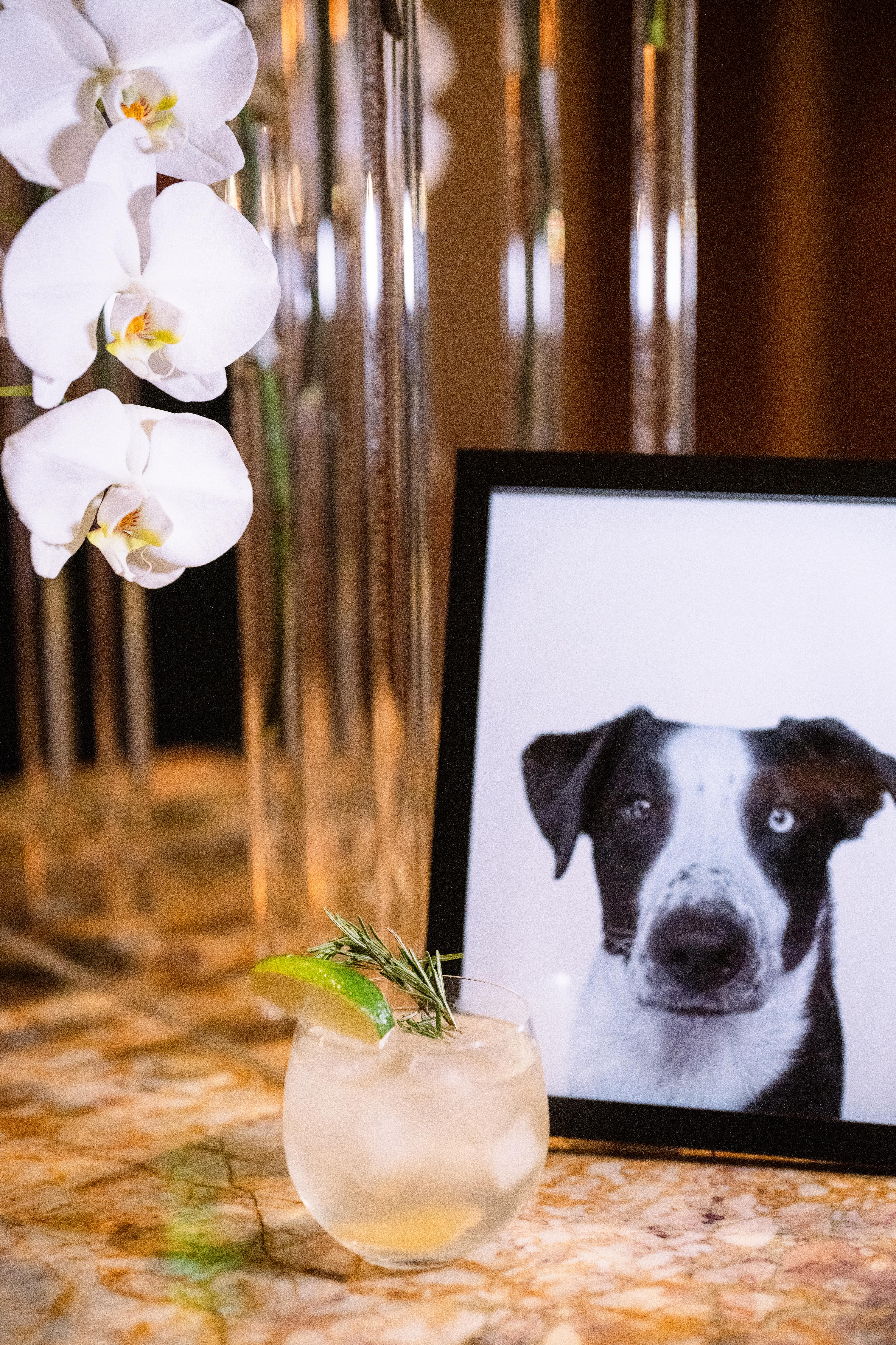 A Modern Spring Wedding at the Montage Laguna Hotel 32