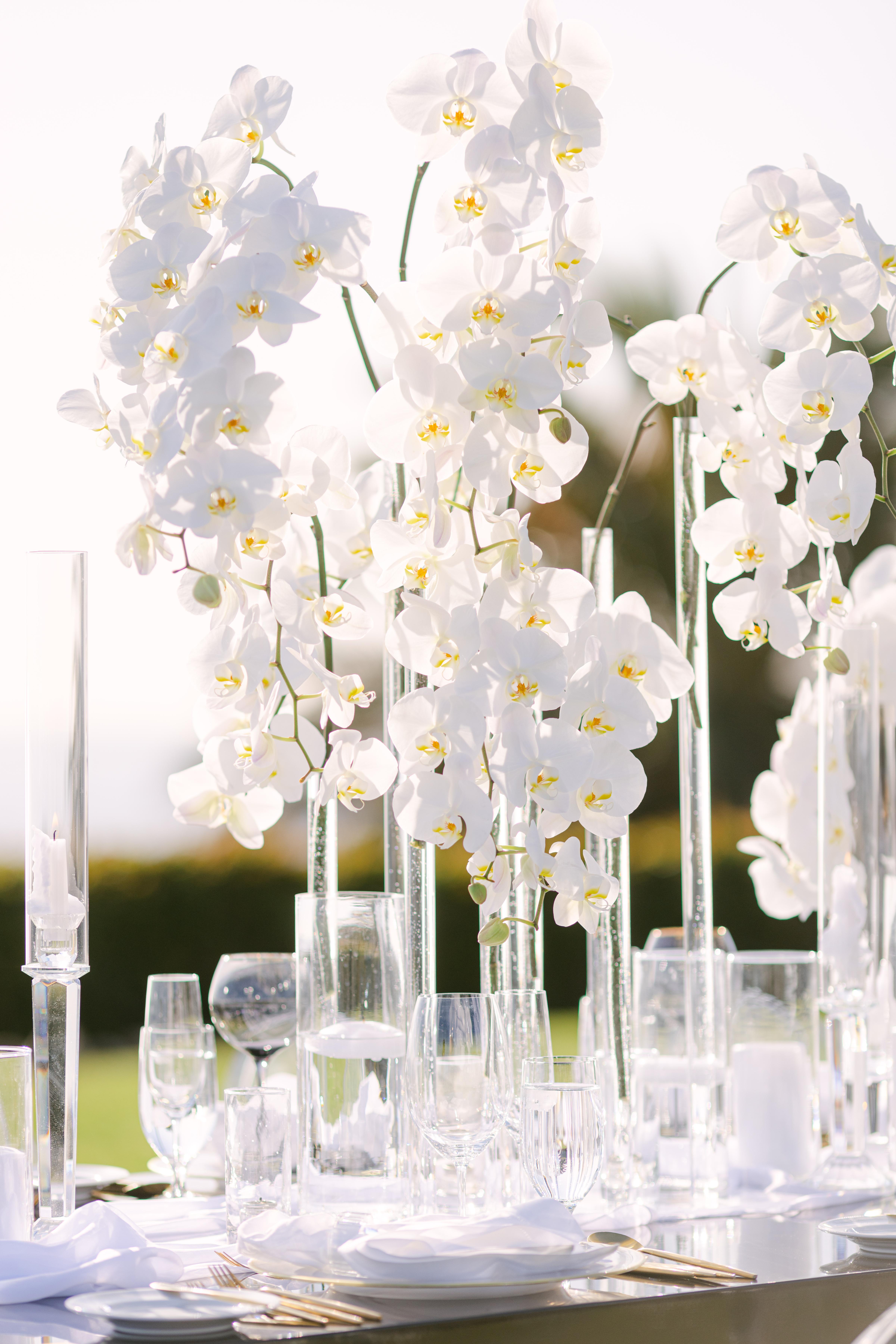 A Modern Spring Wedding at the Montage Laguna Hotel 19