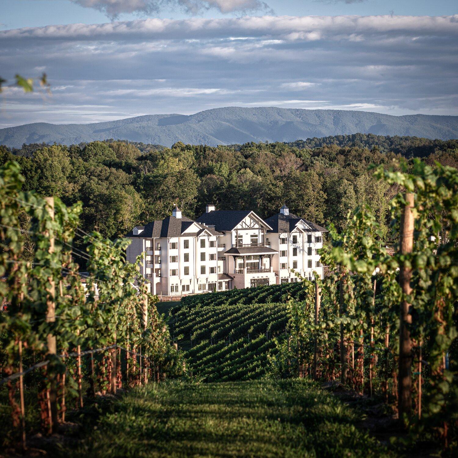 Nicewonder Farm & Vineyards