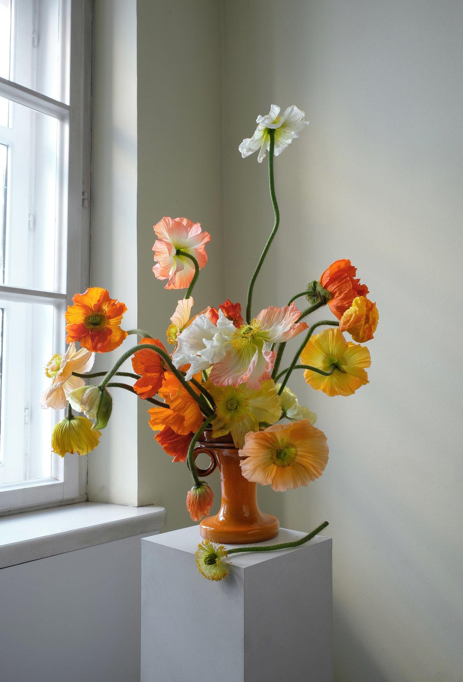 Aiku Floral portfolio 1