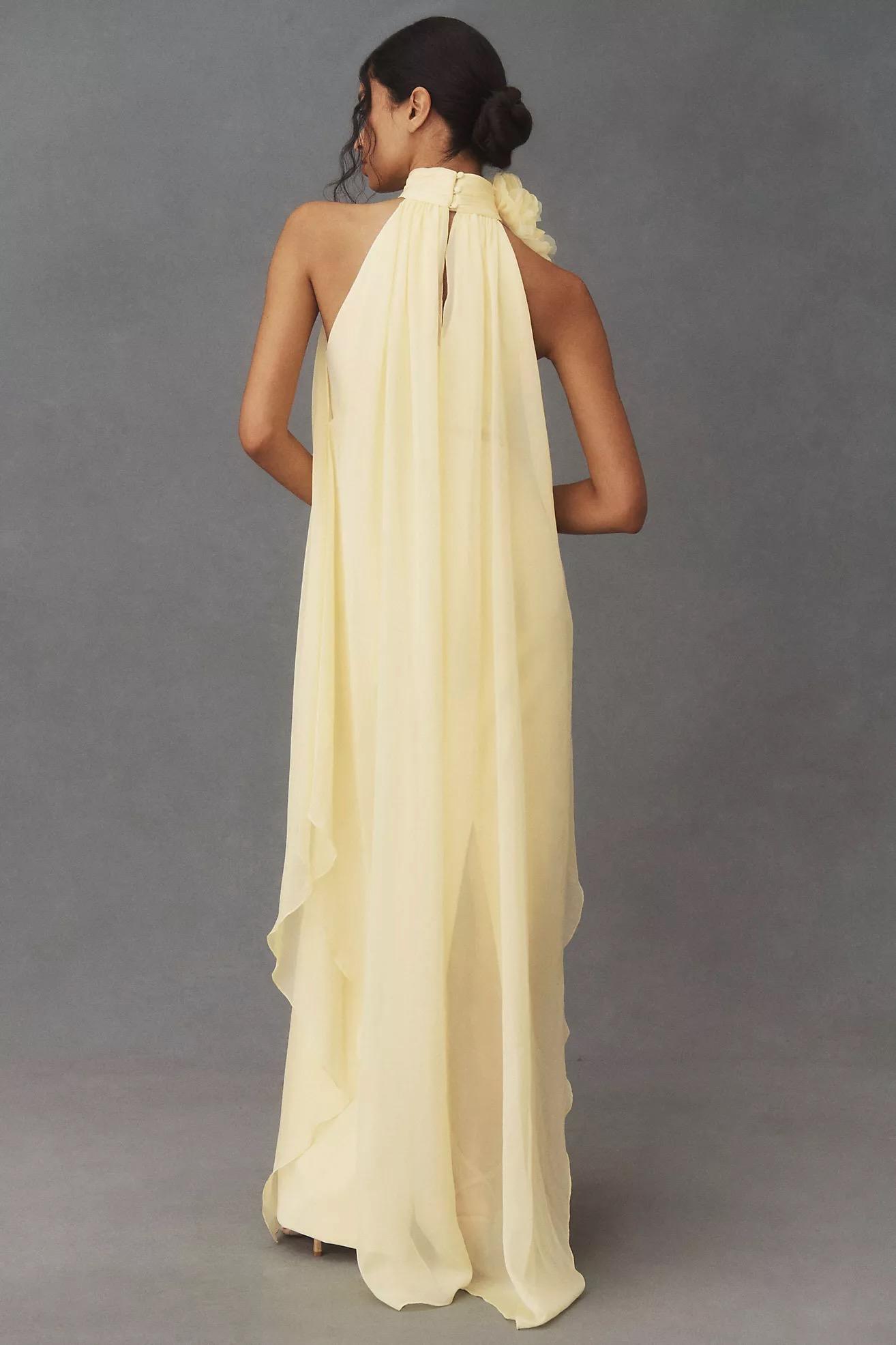 Halston portfolio 1