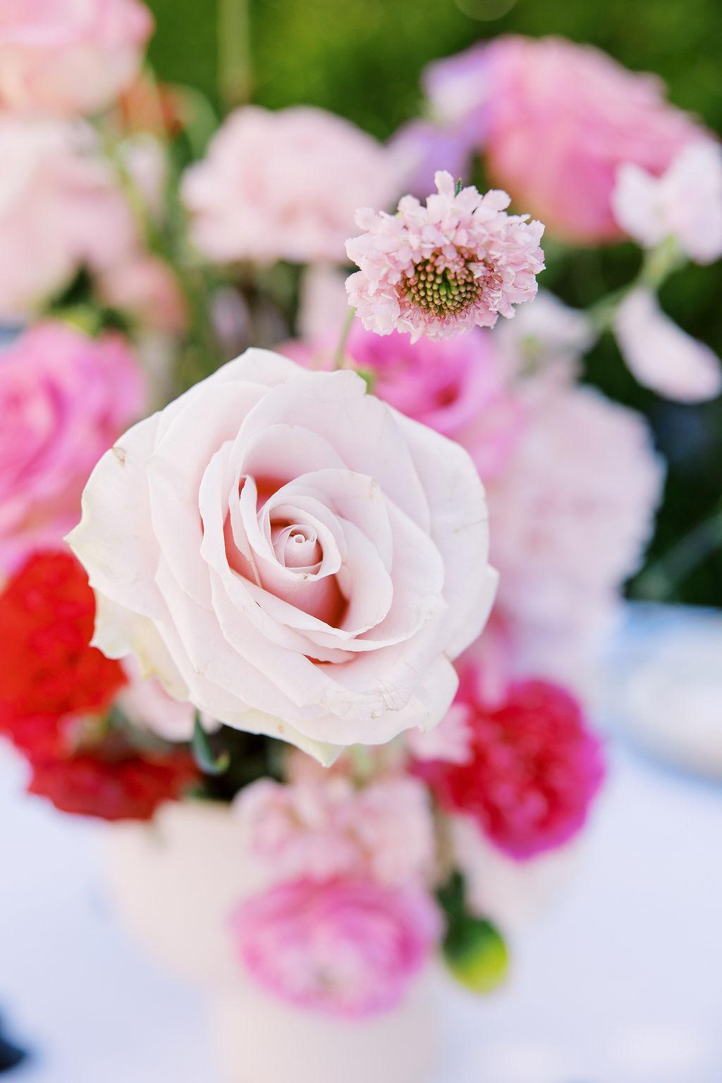 A Modern Summer Wedding in La Jolla 4