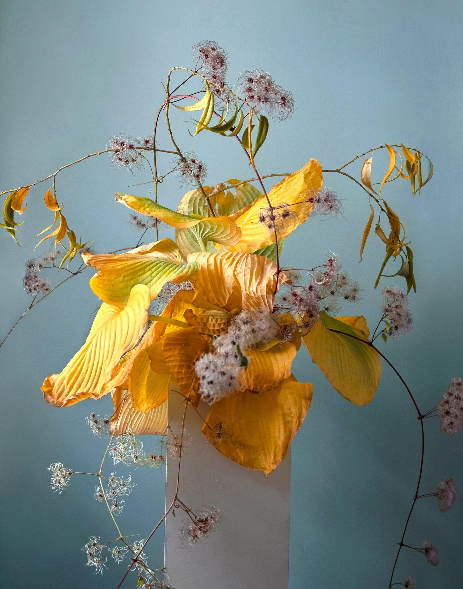 Aiku Floral portfolio 5