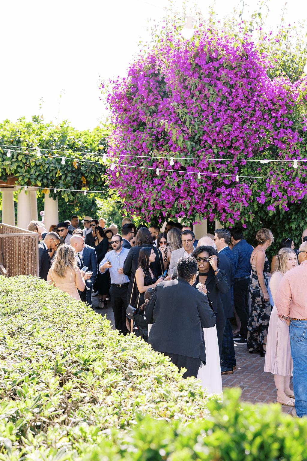 A Modern Summer Wedding in La Jolla 100