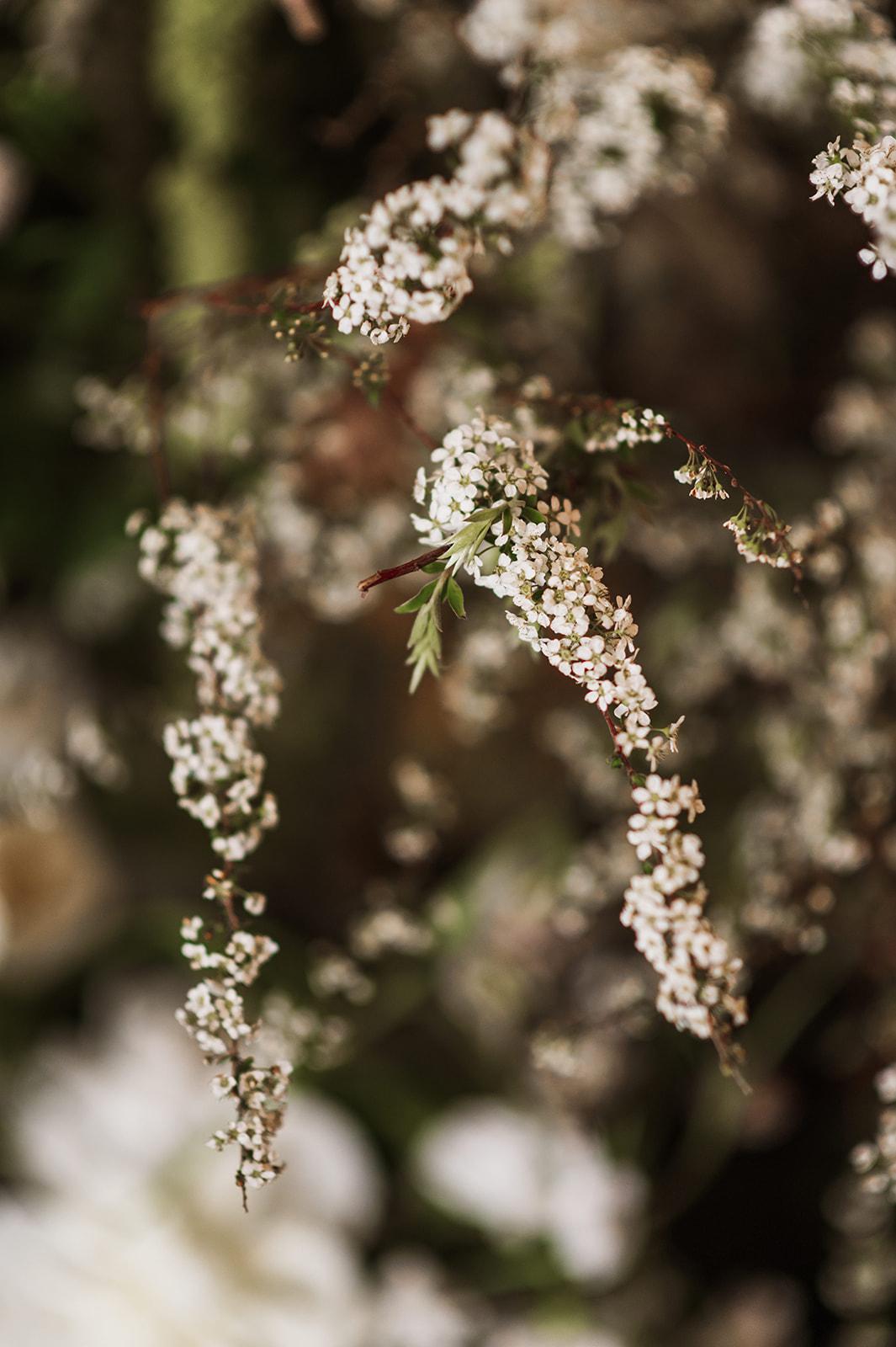 A Late Spring Wedding at The Quadrangle Club 7