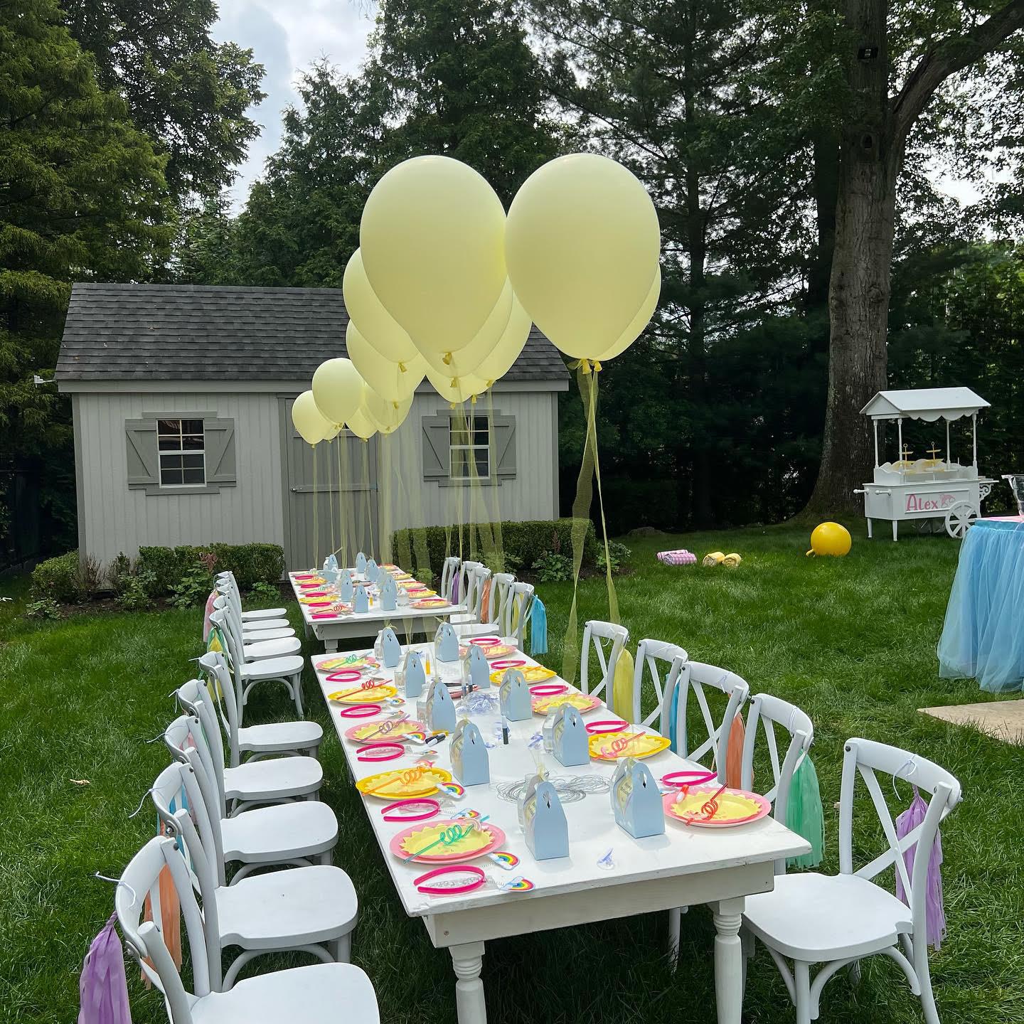 A New Touch Party Rentals portfolio 2