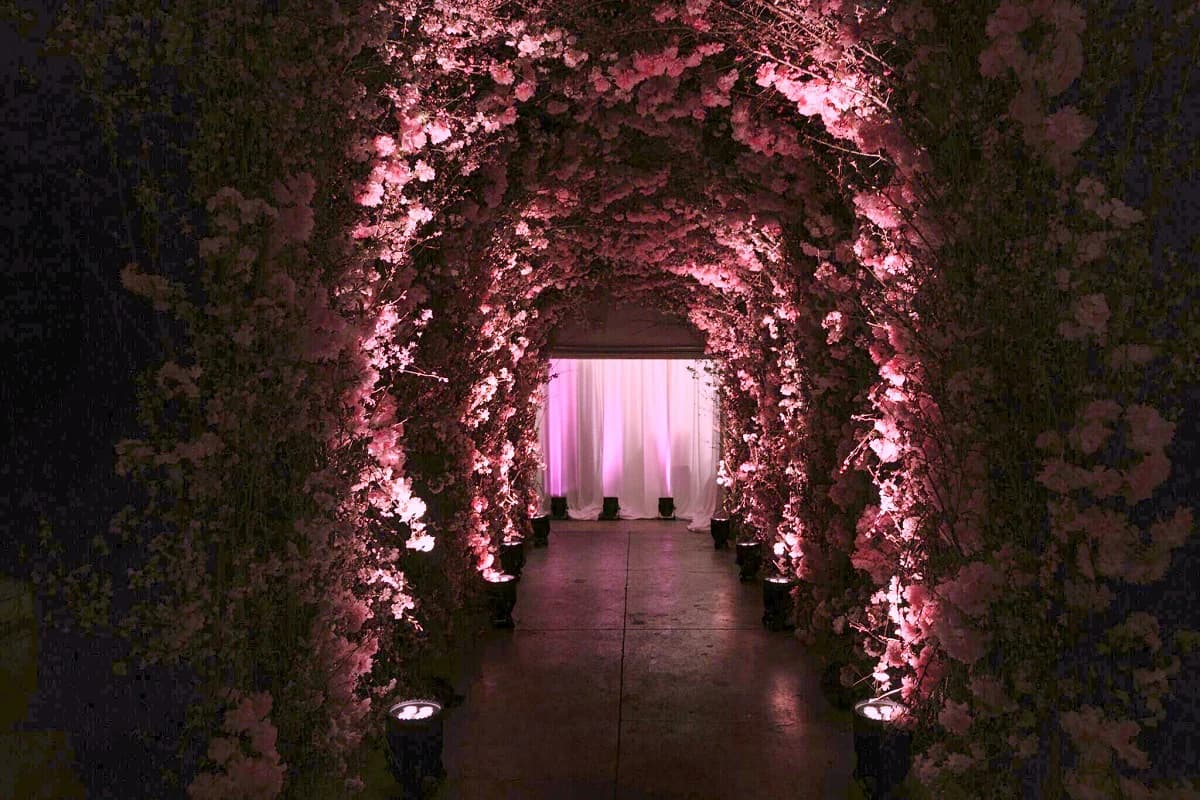 Ovando Floral portfolio 5