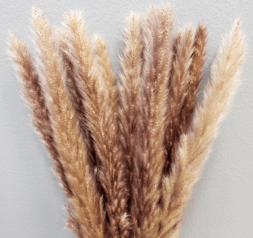 Small Pompous Grass Bouquet