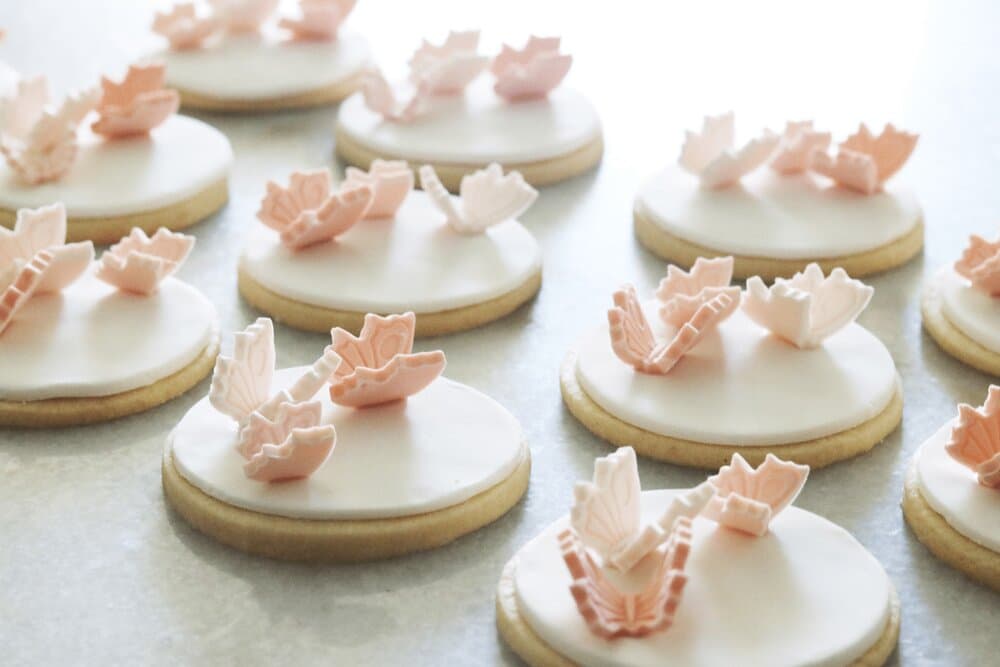Layered Cakes + Bakes portfolio 2
