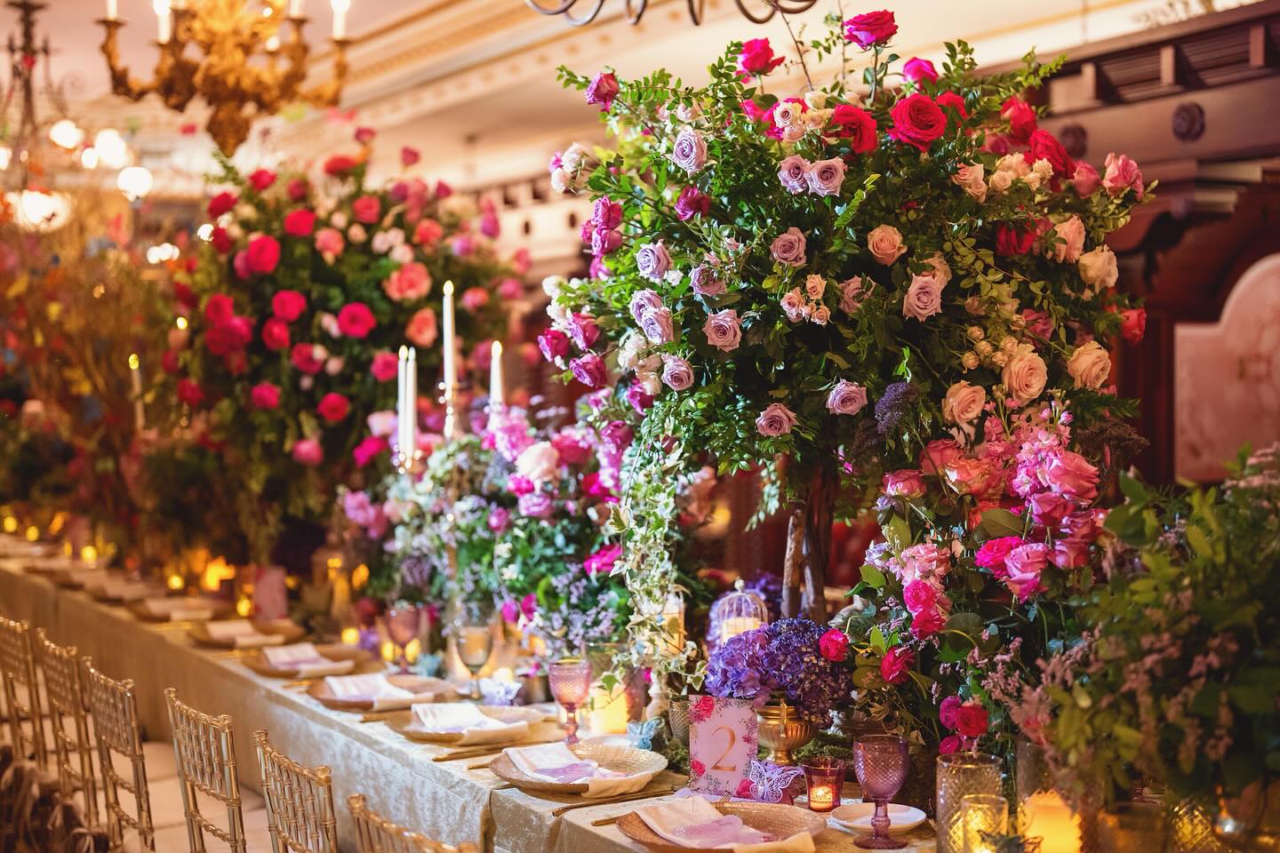 Tica Rose Event portfolio 5