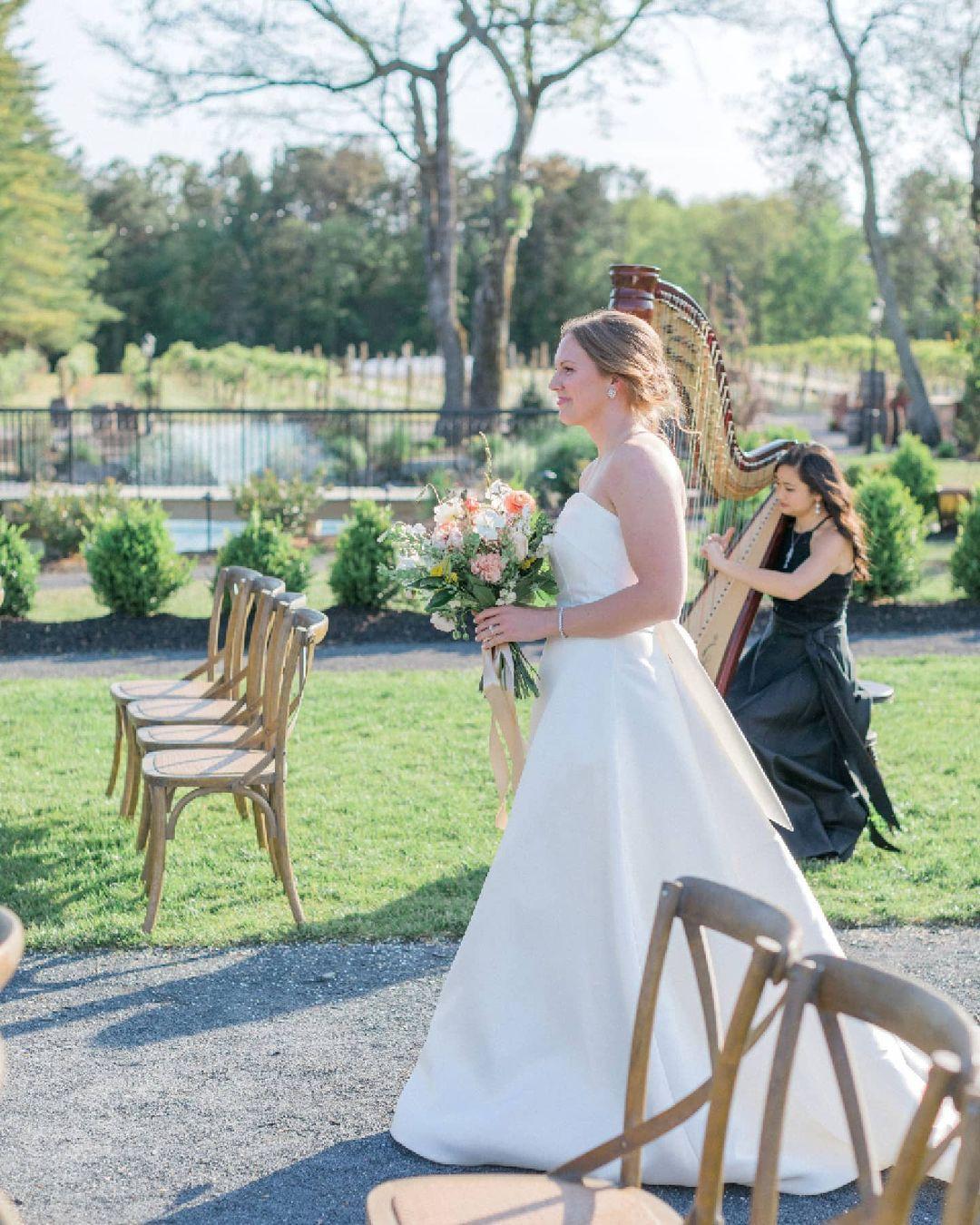 New Jersey Harpist portfolio 5