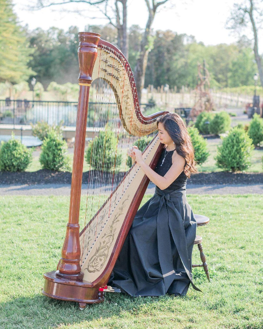 New Jersey Harpist