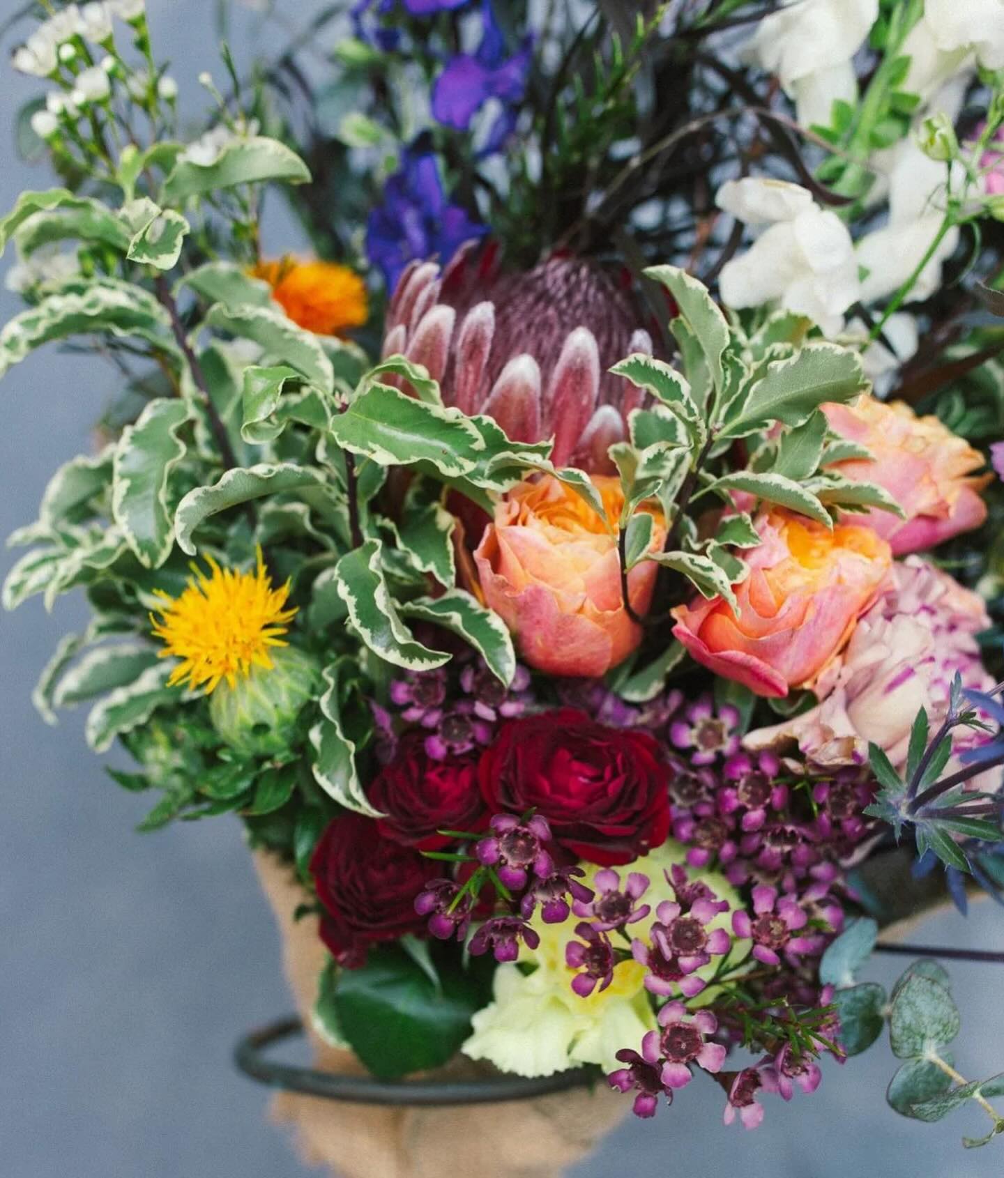 The Unlikely Florist portfolio 4