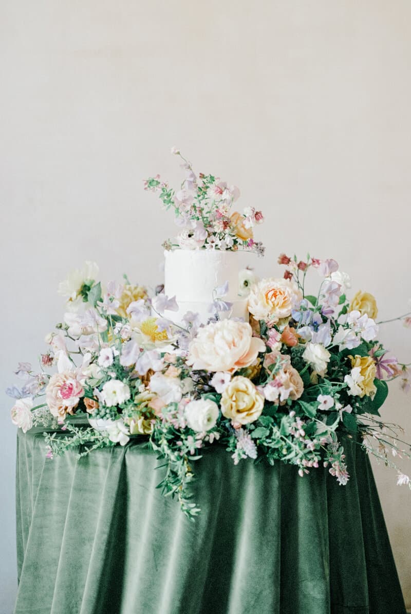Stephanie Berenson Photography