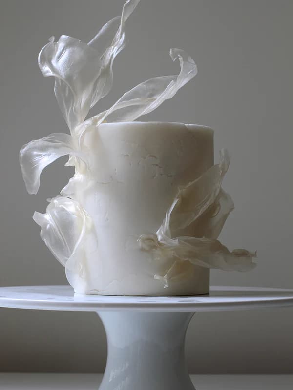 Lemon Tree Cakes portfolio 3
