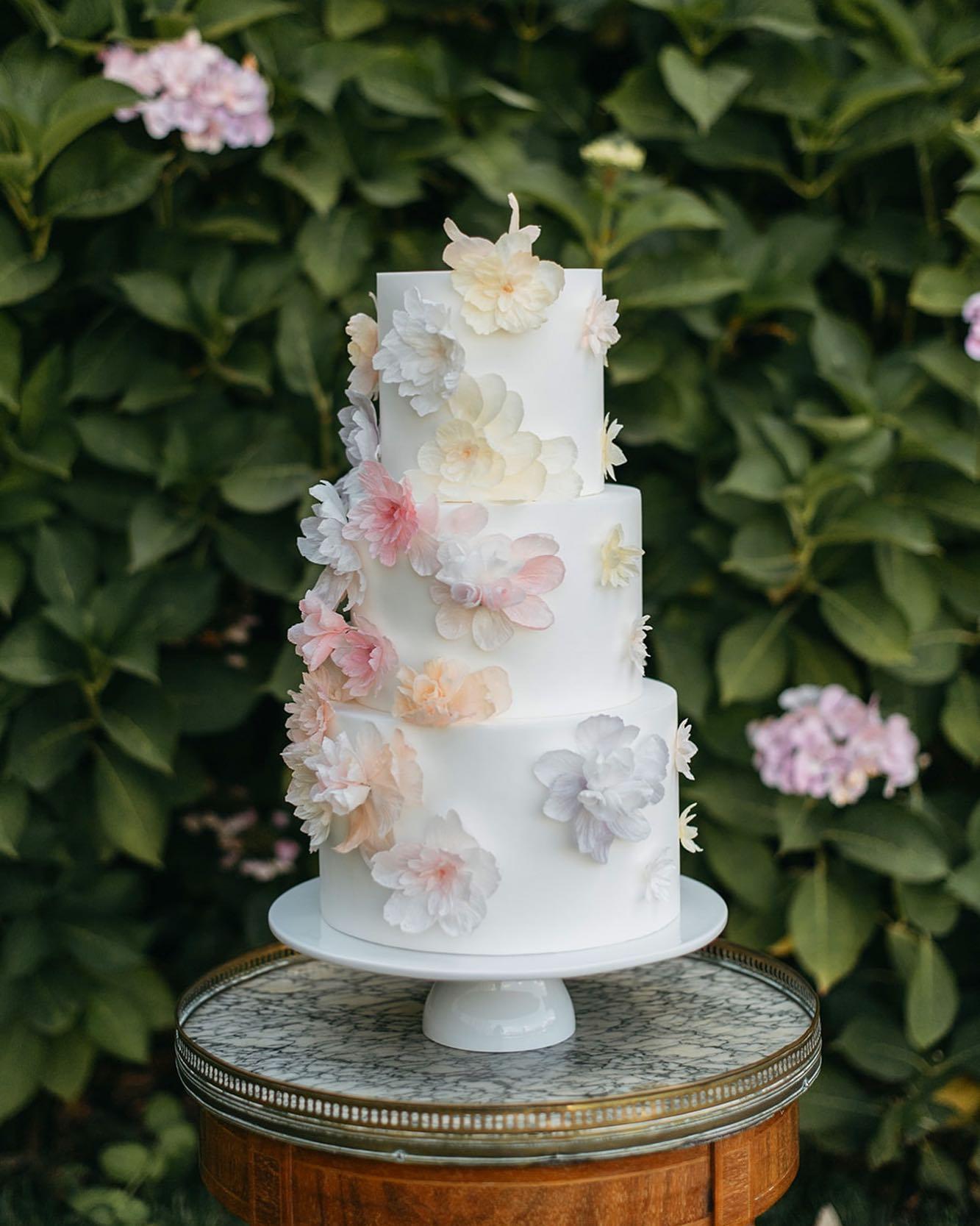Made In Cake portfolio 4