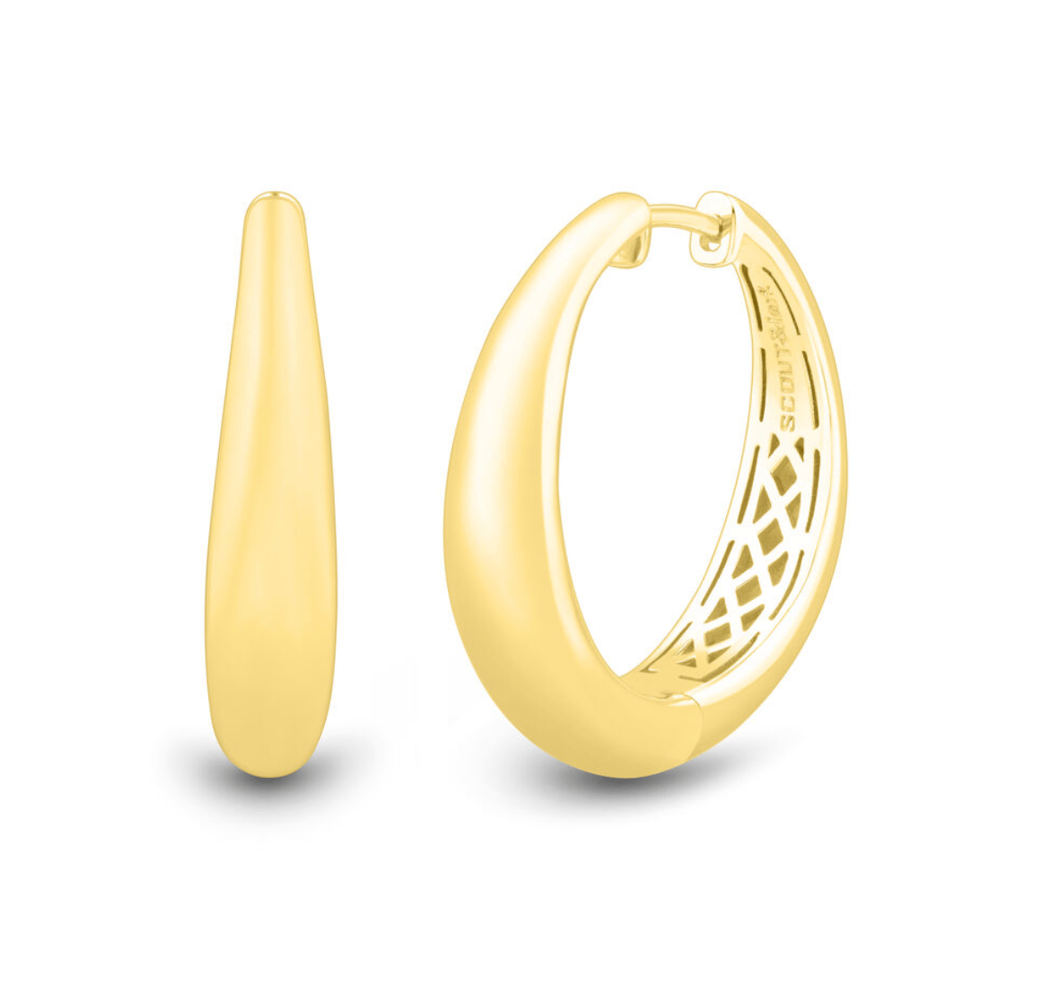 Demi-Fine Hoop Earrings