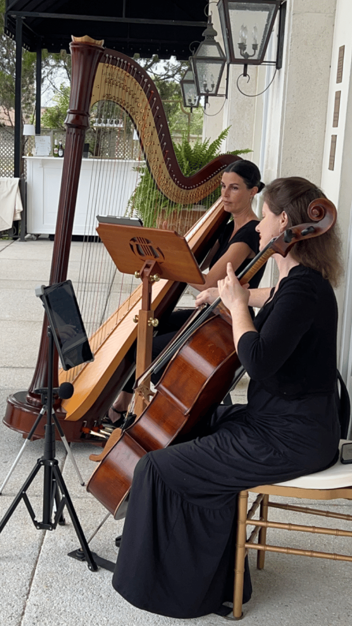 String Theory Music portfolio 4