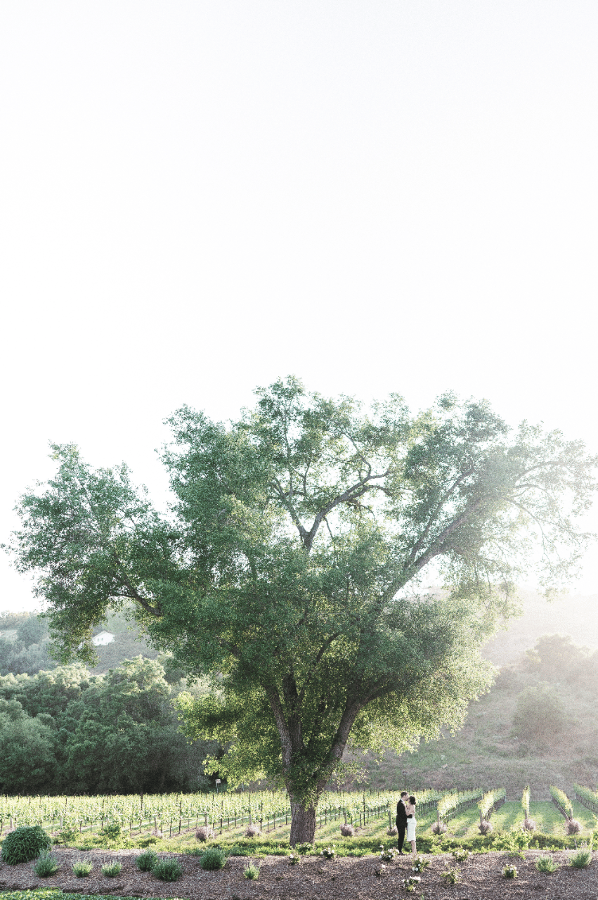 Amy Huang Photography portfolio 4