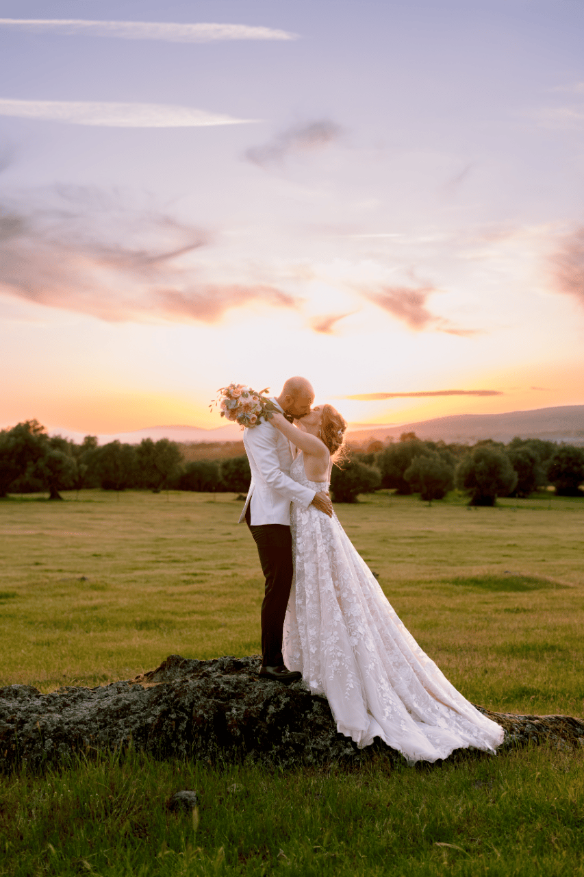 Diane Nicole Photography portfolio 2