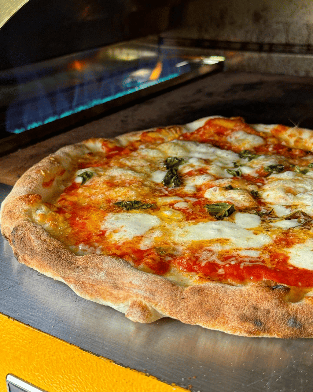 Italiana Foods portfolio 2