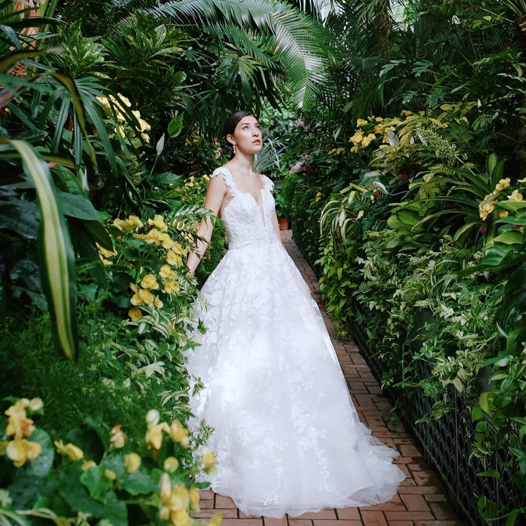 Chasing Mozart Wedding Films