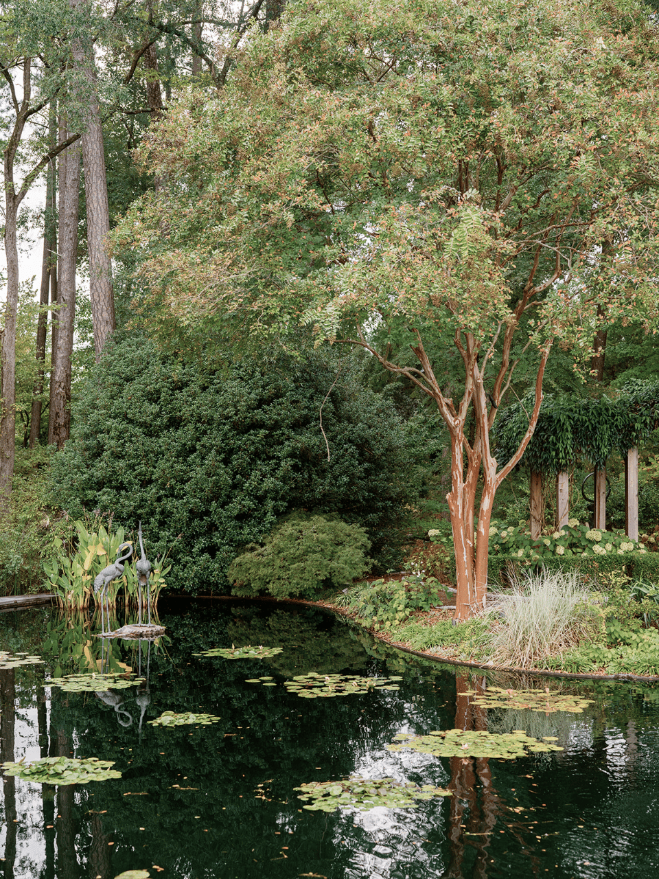 A Boho Fall Wedding at Duke Gardens photo 3