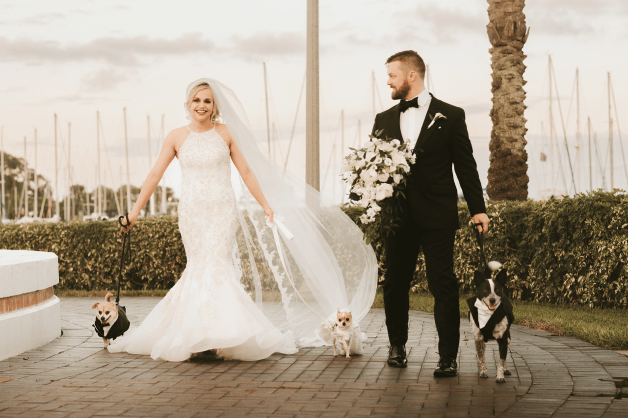 Furry Ventures Pet Care portfolio 4