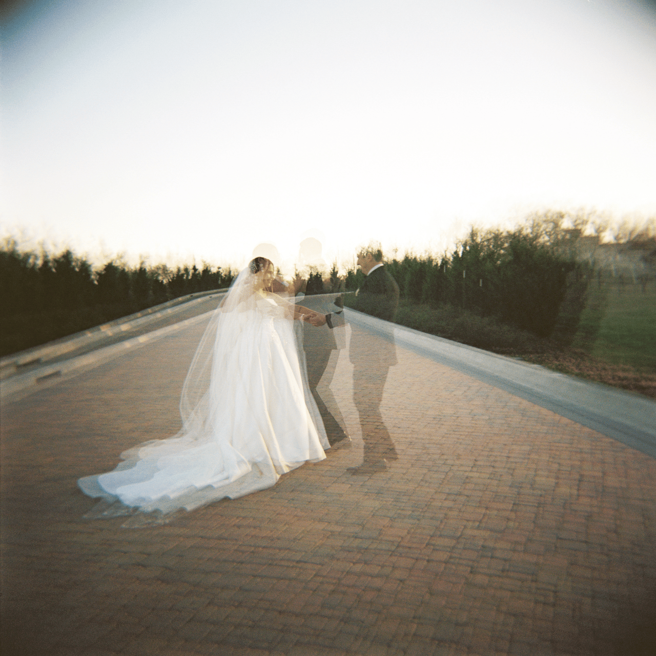 Alba Rose Photography portfolio 2