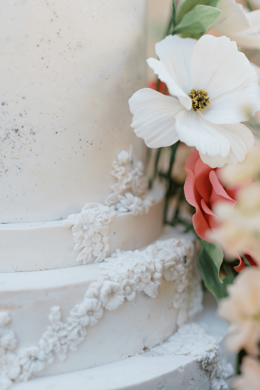 Lindsay Pinto Photography portfolio 5