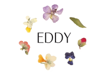 Eddy Aesthetic