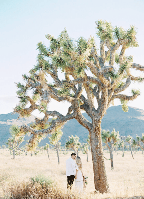 Brett Hickman Photographers portfolio 3