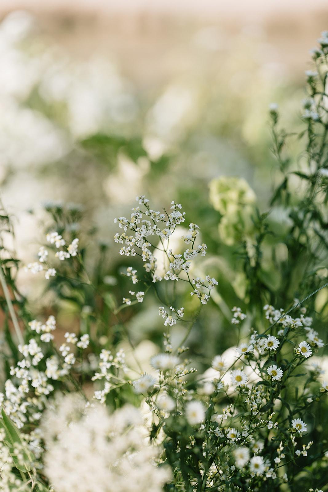A Modern Wedding at the JW Marriott Desert Ridge 36