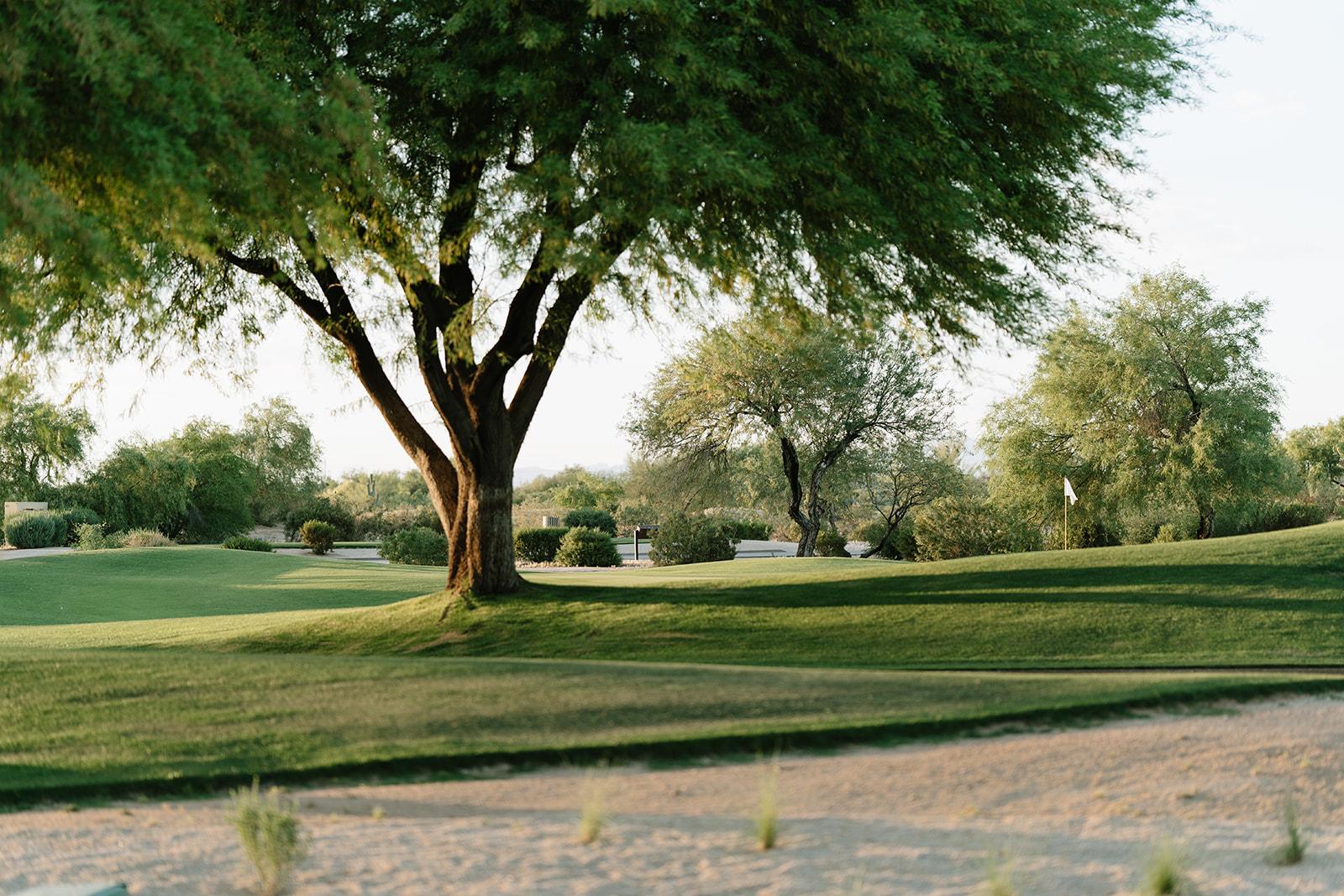 A Modern Wedding at the JW Marriott Desert Ridge 49