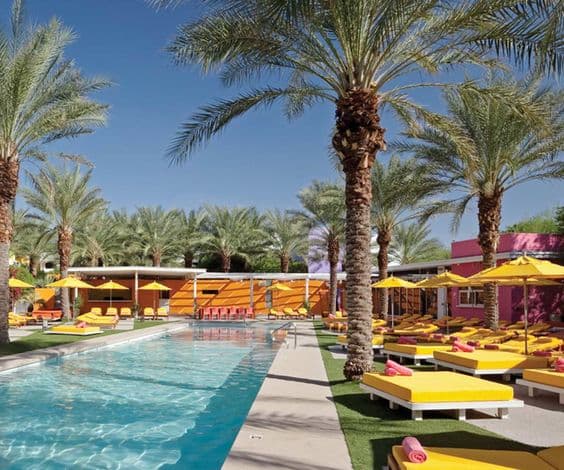 Saguaro Palm Springs portfolio 4