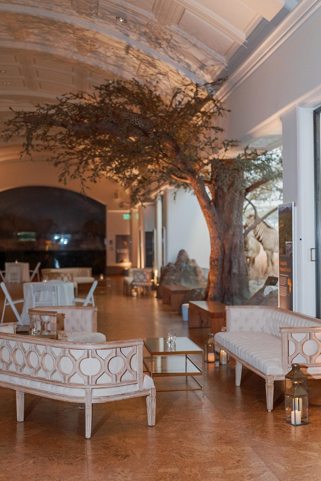 A Modern Spring Wedding at the California Academy of Sciences photo 2