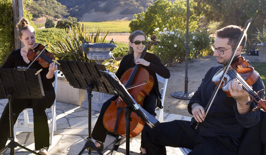 Bay Area Strings