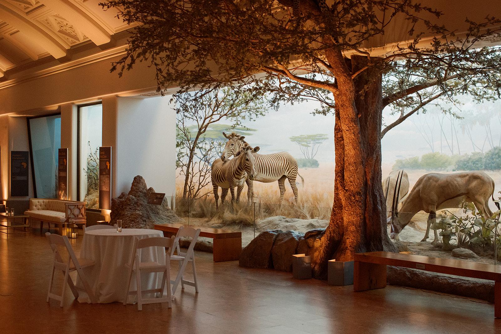 A Modern Spring Wedding at the California Academy of Sciences 40
