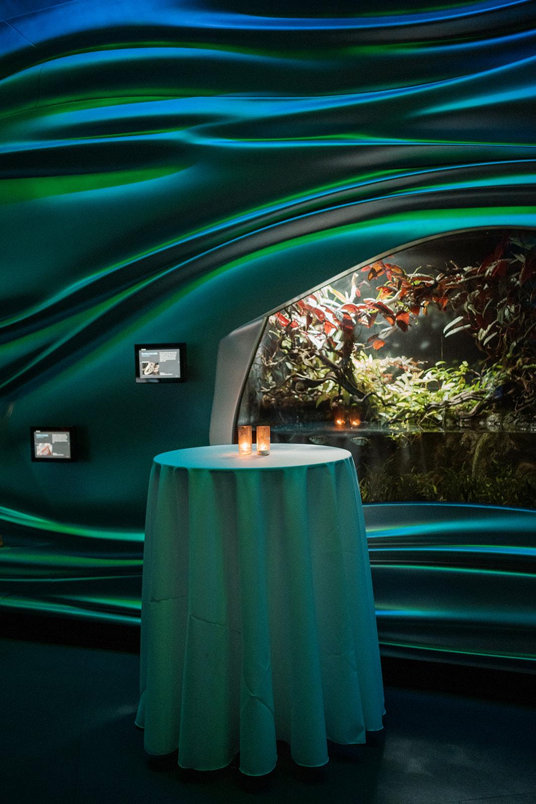 A Modern Spring Wedding at the California Academy of Sciences 4