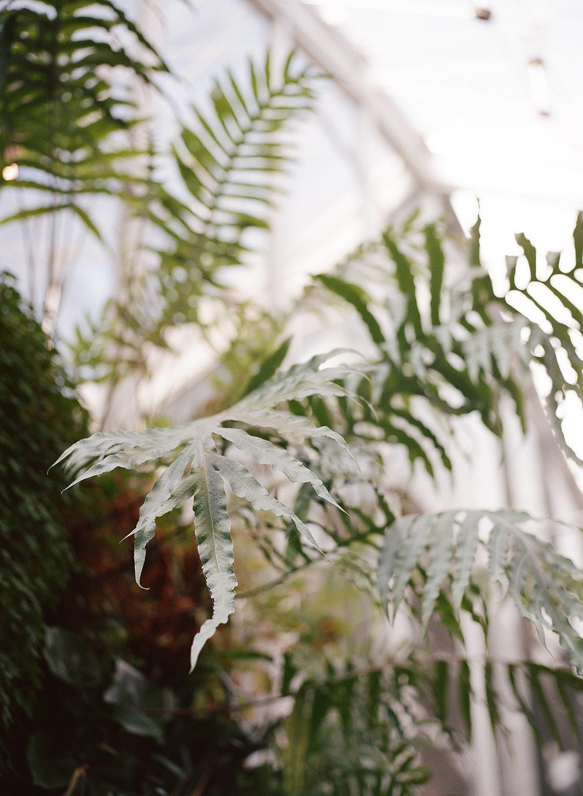 A Modern Spring Wedding at the California Academy of Sciences 13
