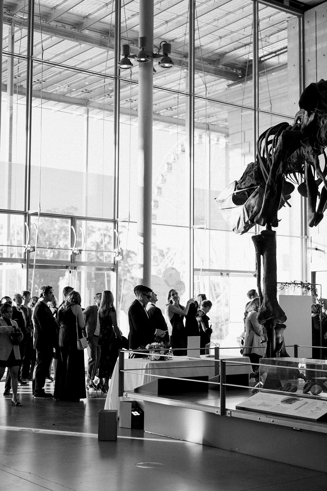 A Modern Spring Wedding at the California Academy of Sciences 9