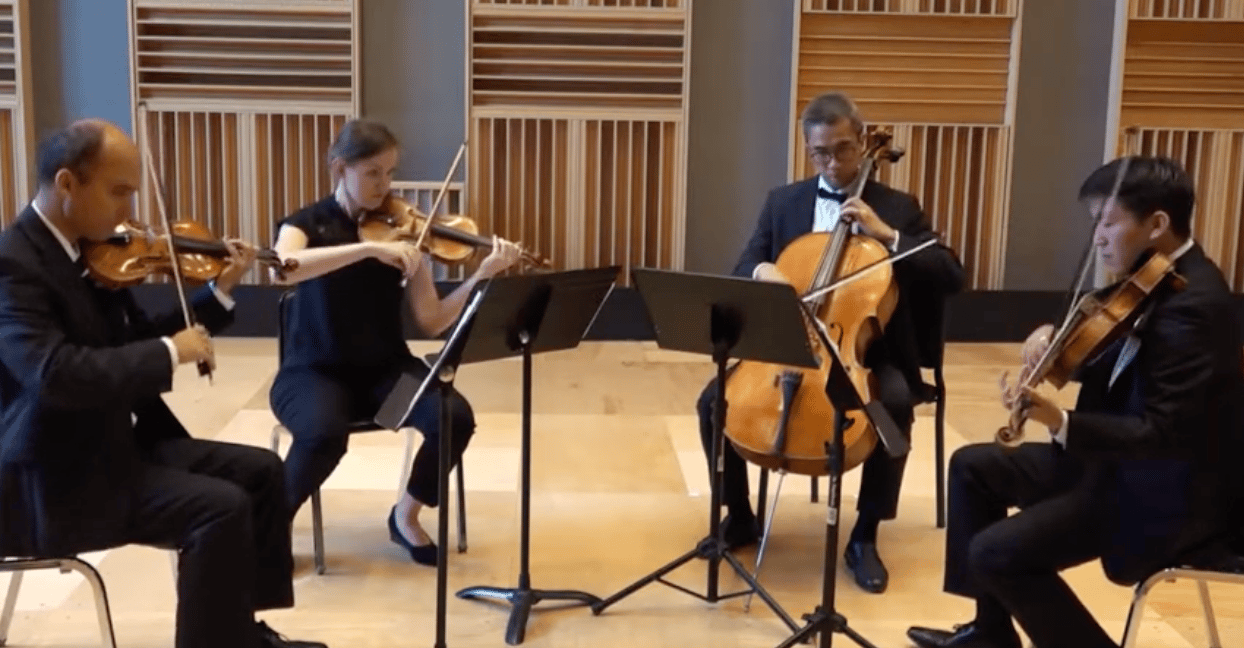 Boston String Ensemble portfolio 1