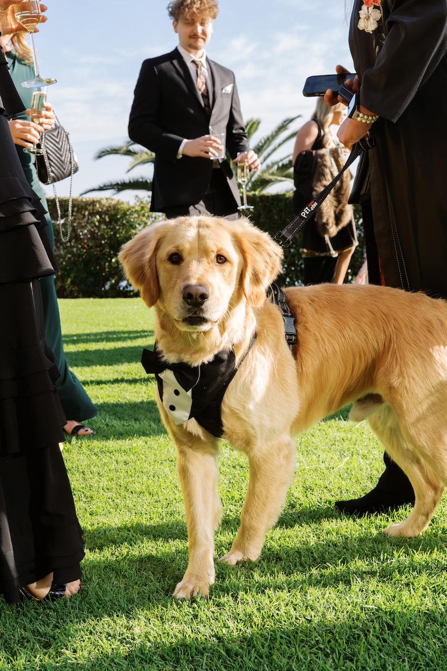 A Modern Spring Wedding at the Bel-Air Bay Club 103