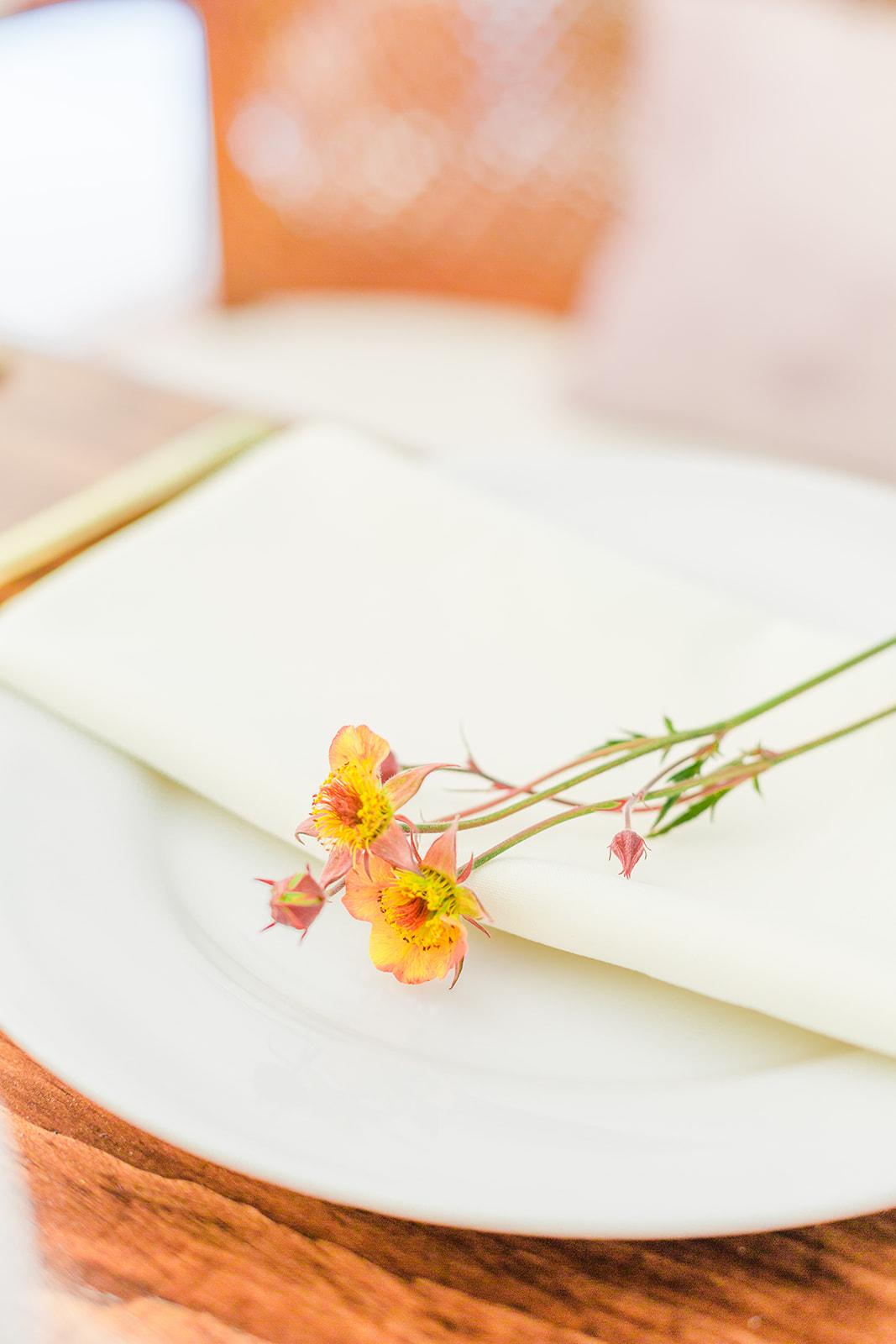 A Whimsical Spring Wedding at Martha's Vineyard 3