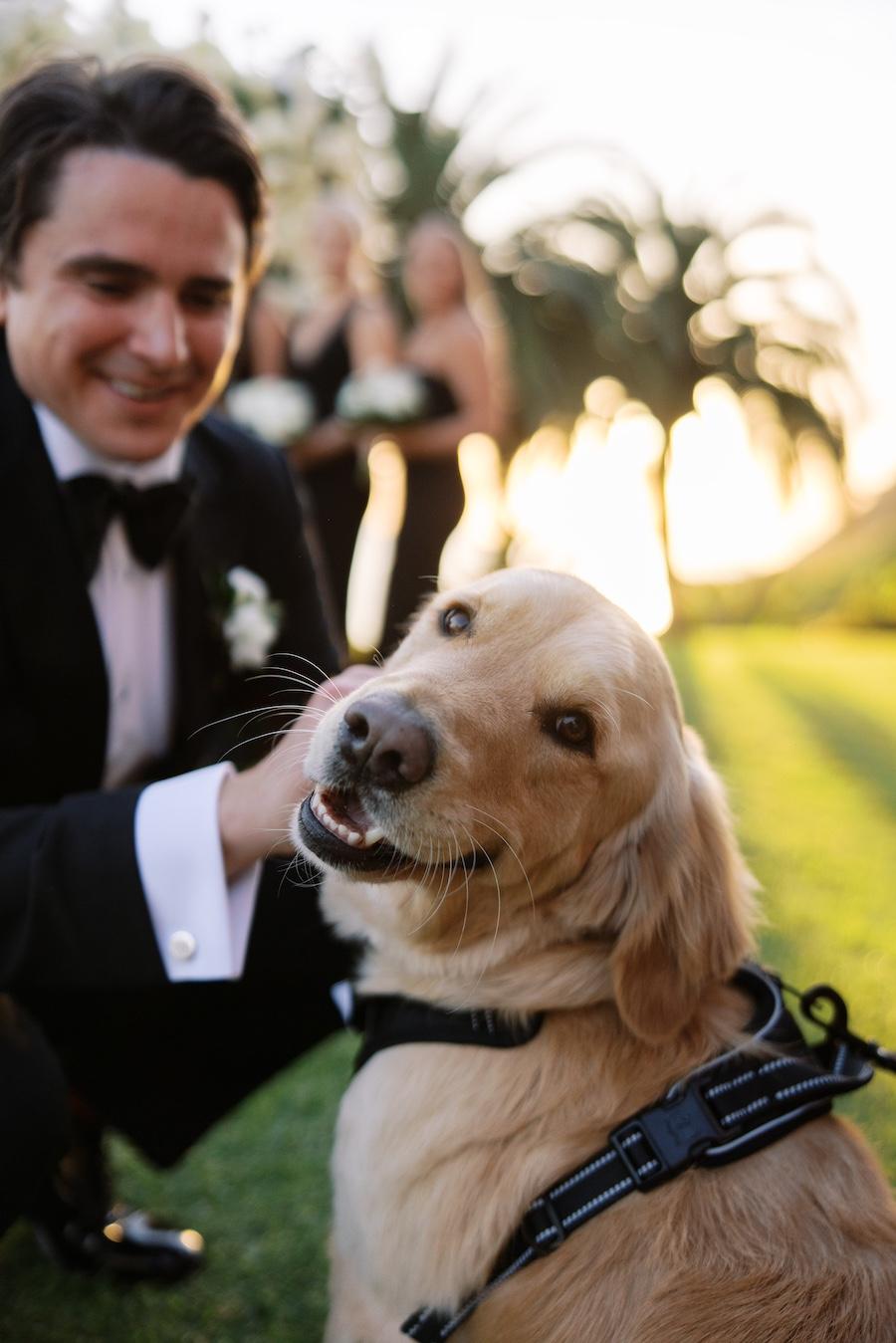 A Modern Spring Wedding at the Bel-Air Bay Club 97