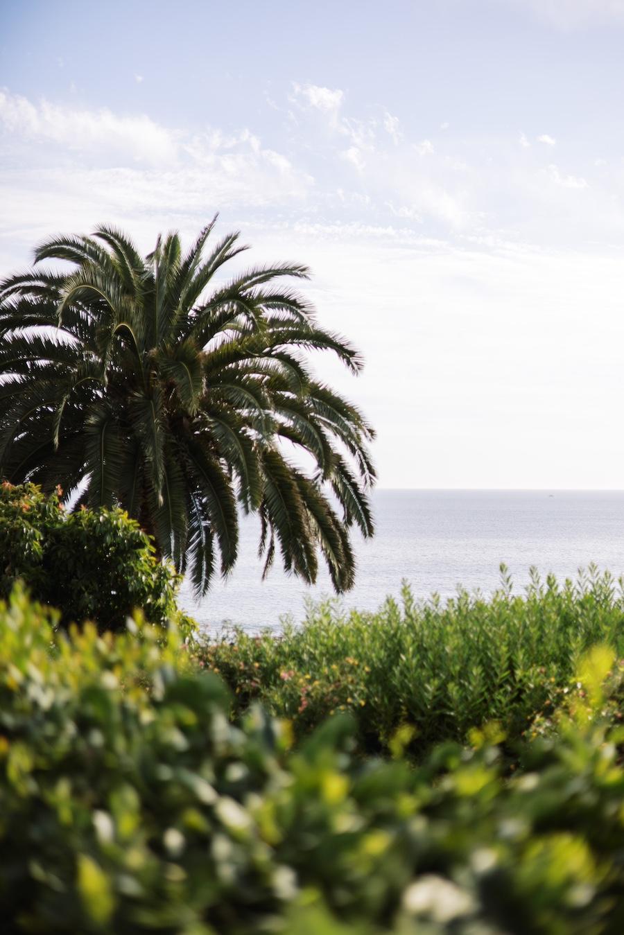 A Modern Spring Wedding at the Bel-Air Bay Club 39