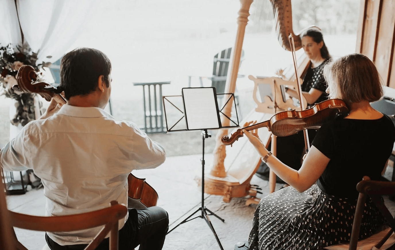 Violetta Strings