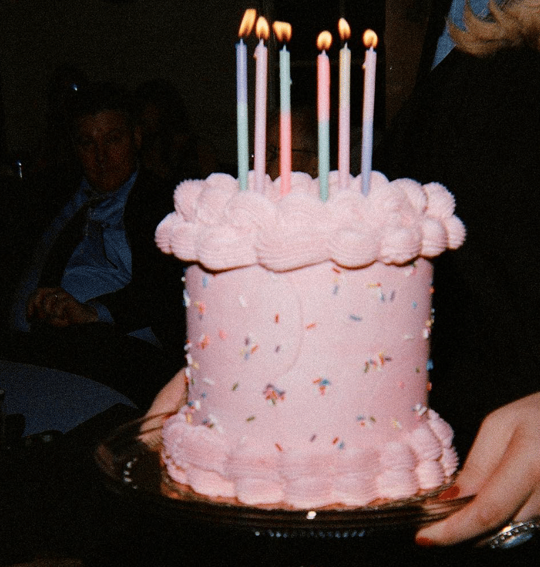 Cakes and Co. portfolio 1