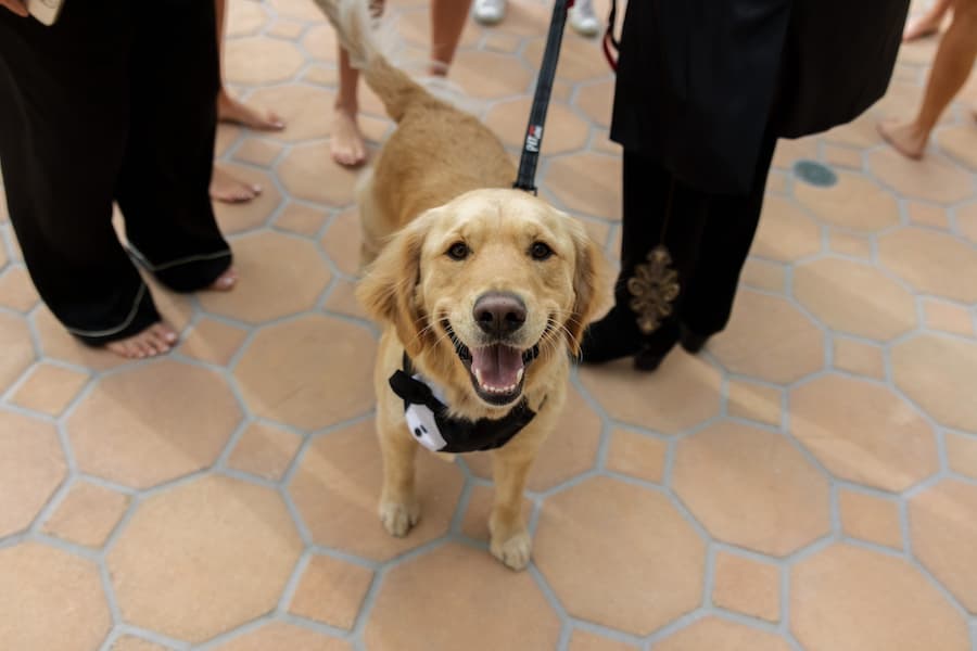 A Modern Spring Wedding at the Bel-Air Bay Club 1