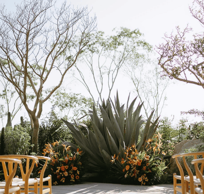 Claudia Morales Destination Events portfolio 3